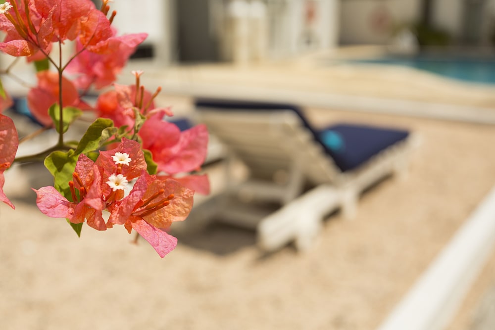 gosun beach residence