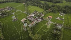 om ham retreat and resort