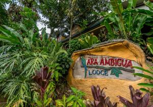 ara ambigua lodge