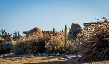 Cuarzo Lodge,Chile>>Pichilemu,4 star