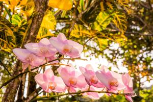 velinn feiticeira praia hotel