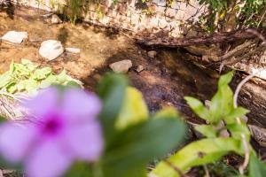 velinn feiticeira praia hotel