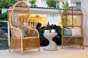 the retreat costa rica wellness resort and spa