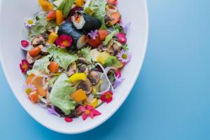 the retreat costa rica wellness resort and spa