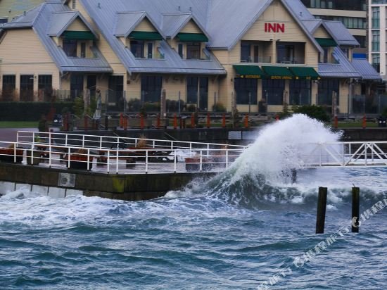 sidney waterfront inn and suites