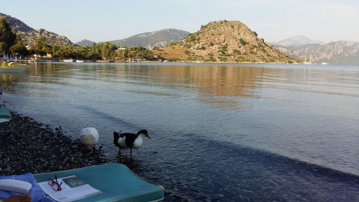 masal tatil evi