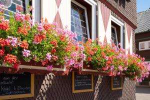 Landgasthof Zum Stern,Fulda>>Birkenhof,3 star