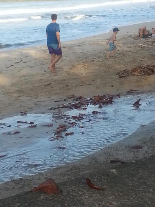 cahuita