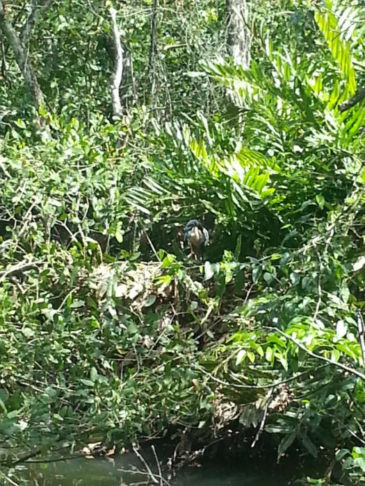 cahuita