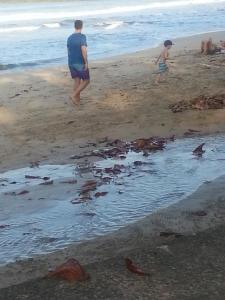 cahuita