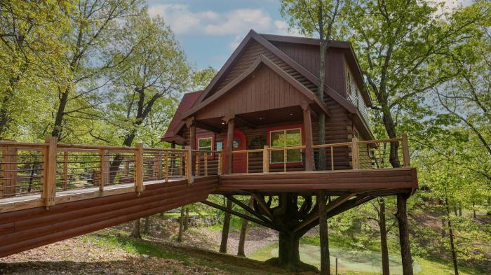 hilton grand vacations club branson cedars ridgedale