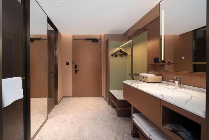 hilton garden inn shenzhen luohu port