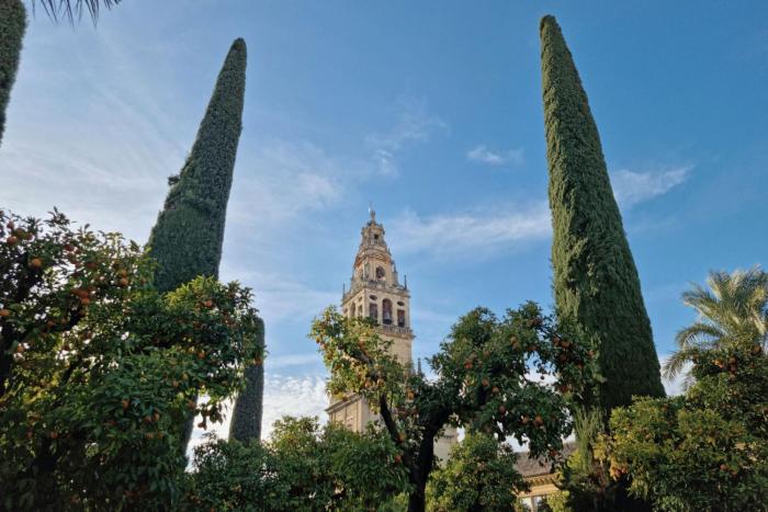 tandem mezquita