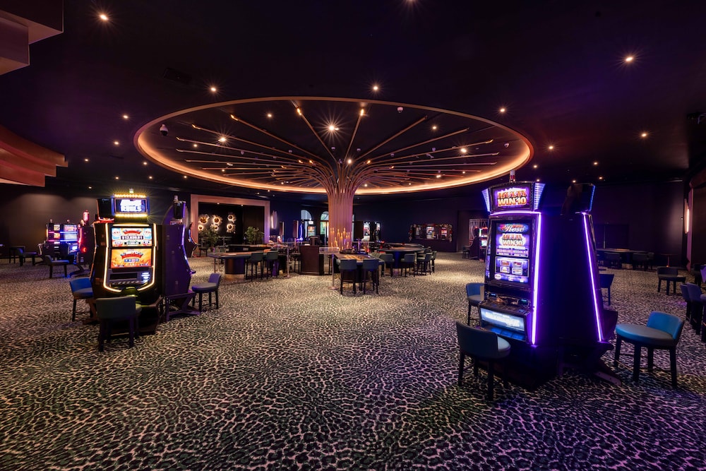 lopesan caoba lagoon resort spa and casino all inclusive