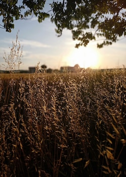 La Vita Nuova,Civitanova Marche>>Ancona,3 star