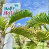 glades motel naples