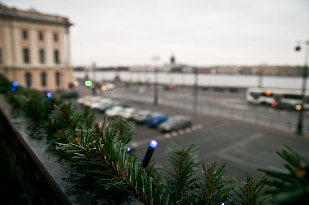 st petersburg