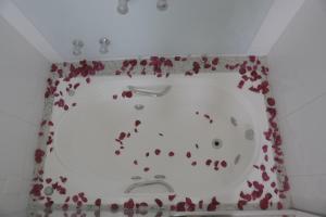 Paracatu Plaza Hotel,Minas Gerais State>>Paracatu,3 star