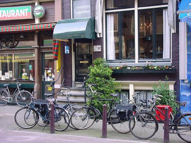 quentin hotel golden bear