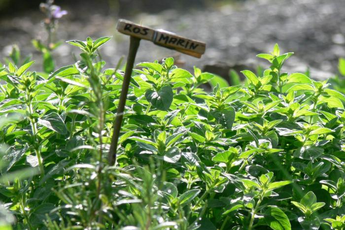 landidyll landaus liesetal