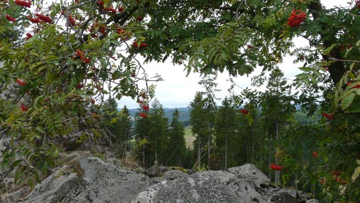 landidyll landaus liesetal