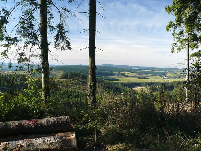 landidyll landaus liesetal