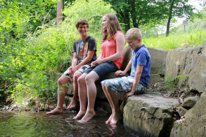 landidyll landaus liesetal