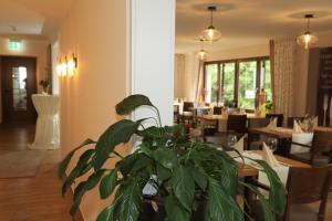 Landidyll Landaus Liesetal,Hallenberg>>Bromskirchen,3 star