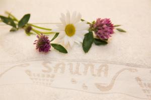 landidyll landaus liesetal