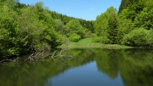 landidyll landaus liesetal