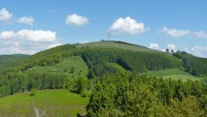 landidyll landaus liesetal