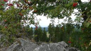 landidyll landaus liesetal