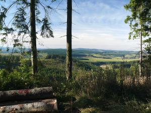 landidyll landaus liesetal