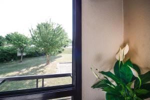 hotel inn design resto novo chartres