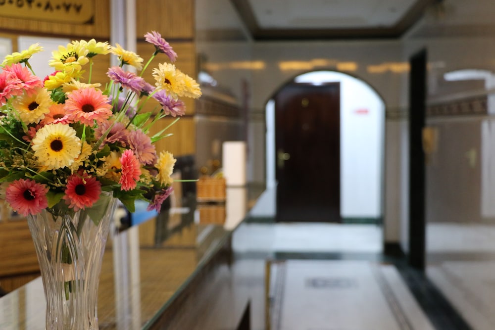 al alya hotel rooms and suites