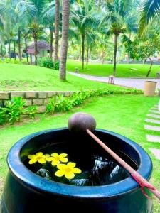 sonata resort and spa