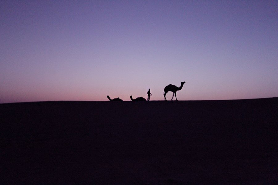 hotel the silk route