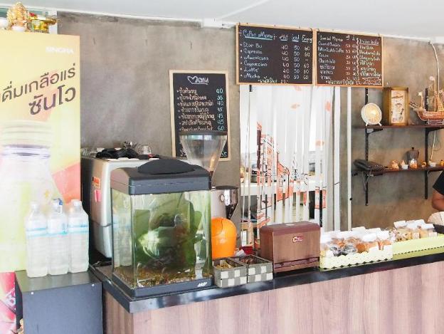 house and home residence