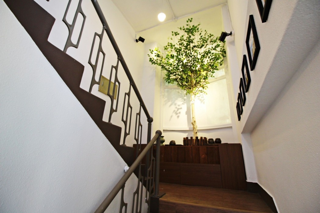 cocoa guesthouse