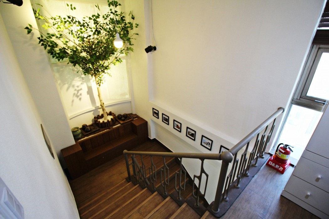 cocoa guesthouse