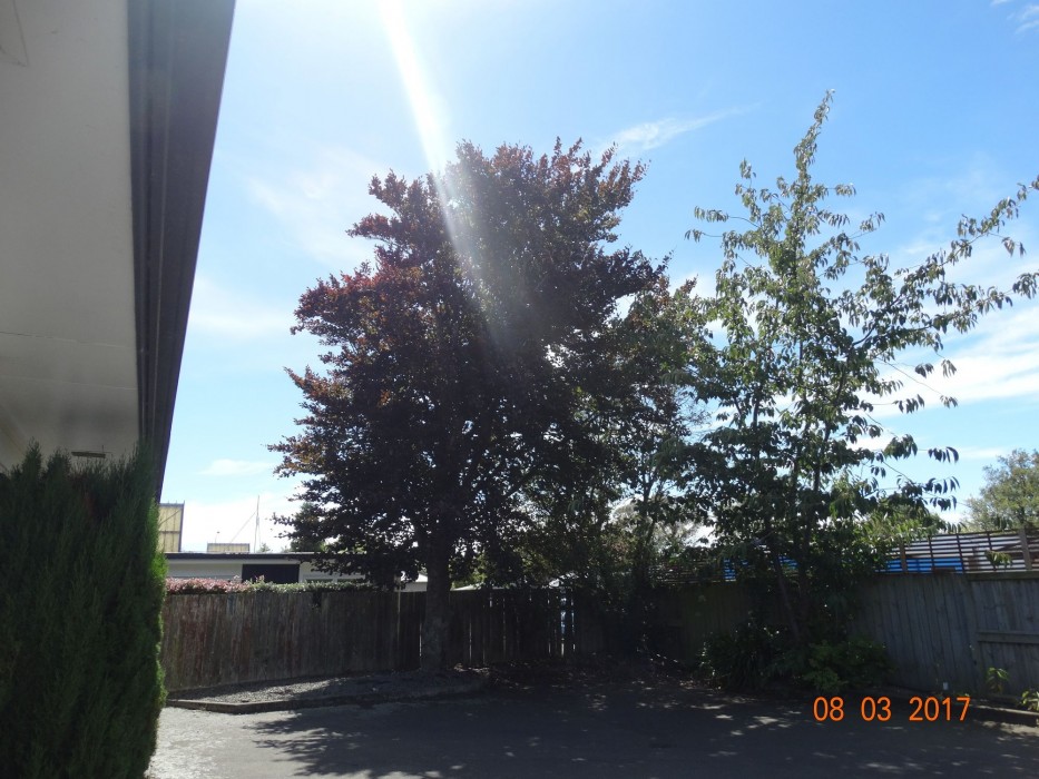 ambassador motel palmerston north