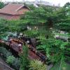montri resort donmuang bangkok
