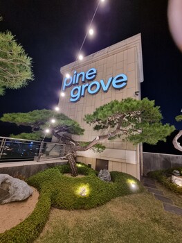 pine grove hotel