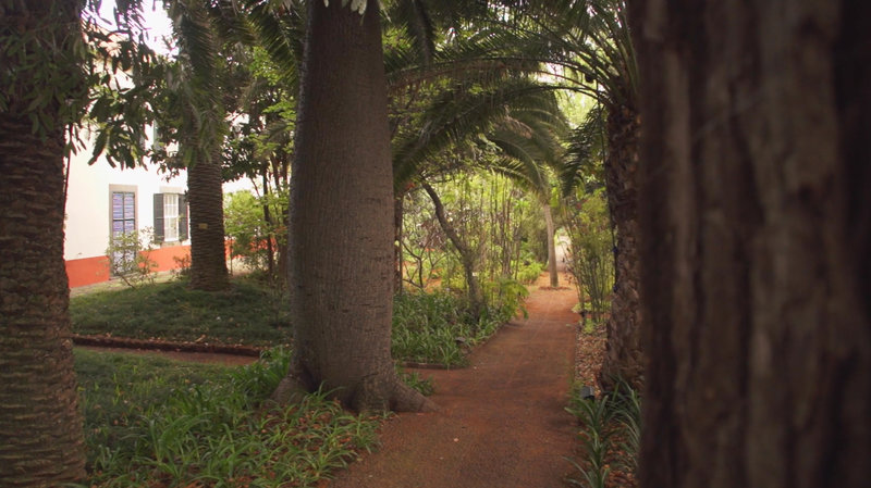quinta da bela vista madeira