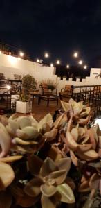 telmho hotel boutique