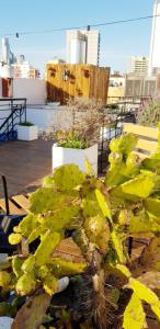 telmho hotel boutique