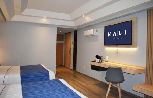 kali vallejo mexico city