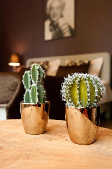 pension vakantie logies hollywood