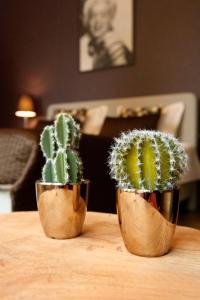 pension vakantie logies hollywood