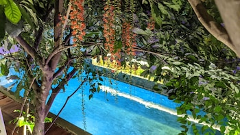 denalee villa